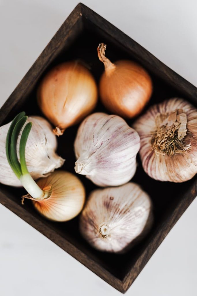 Fresh organic onions and garlic in square pot